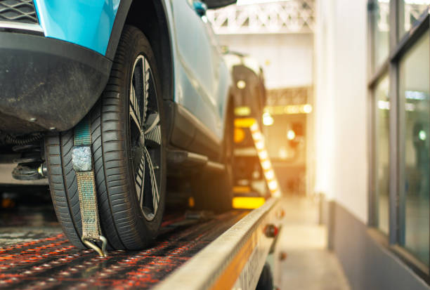 istockphoto-1209913275-612x612